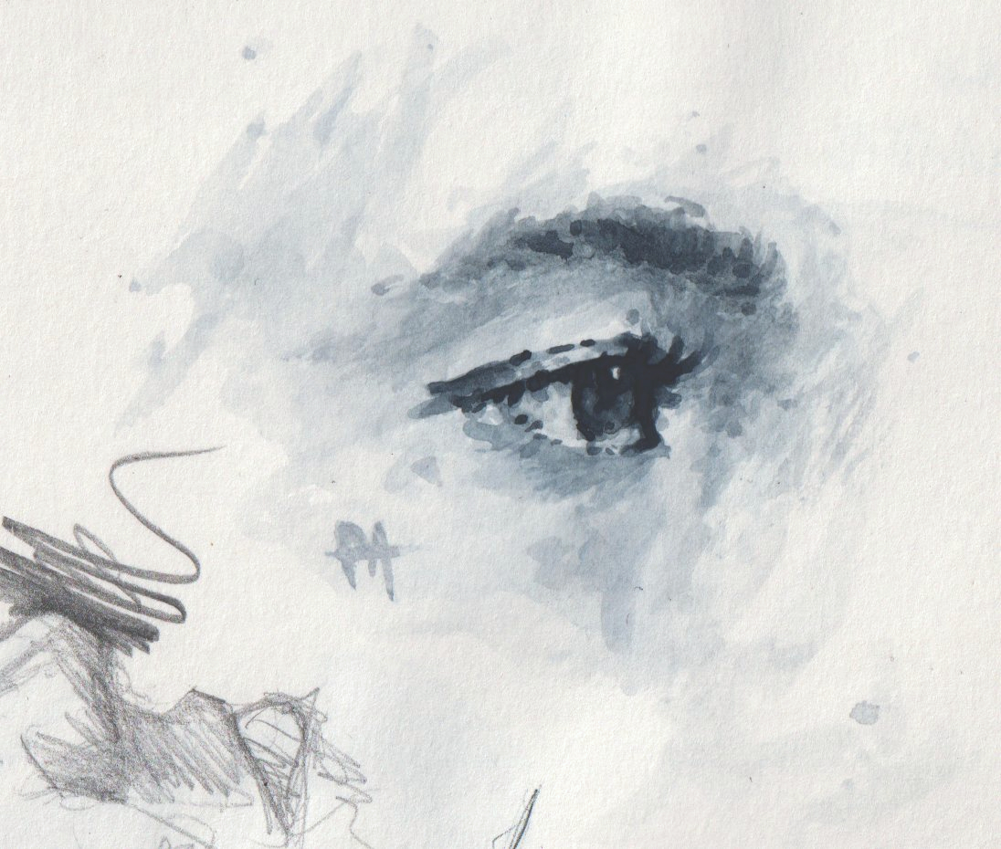 Etude oeil